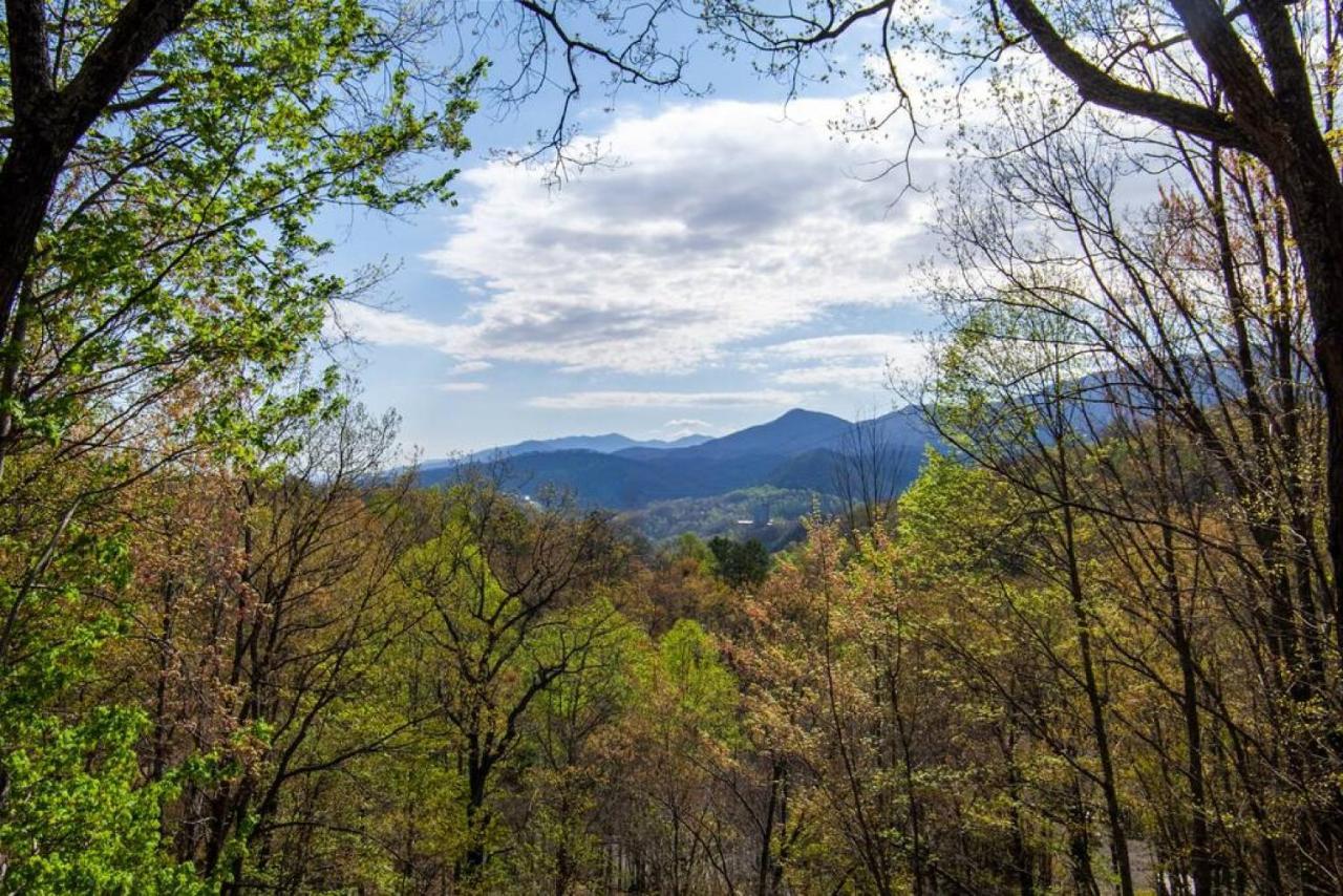 Bear View Chalet With Hot Tub And Near Ober Gatlinburg Exteriör bild